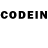 COCAIN Columbia Vanicichi