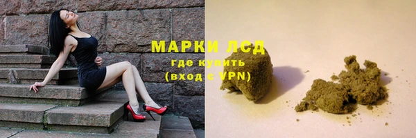 гидра Аркадак