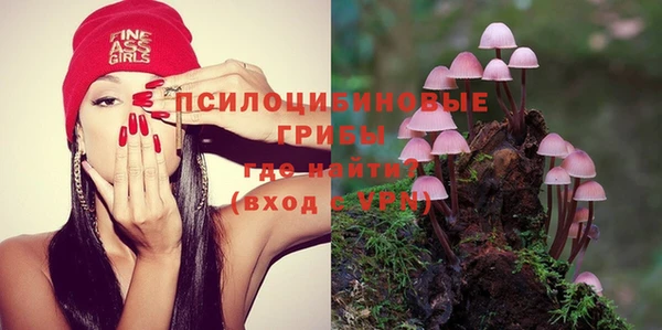 прущая мука Армянск