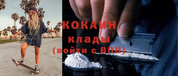 гидра Аркадак